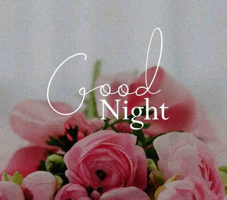 bangla good night pic