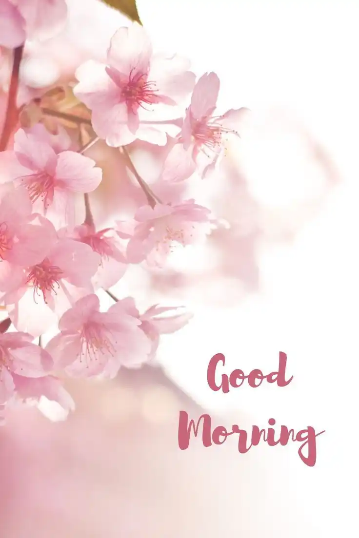 cute funny good morning images