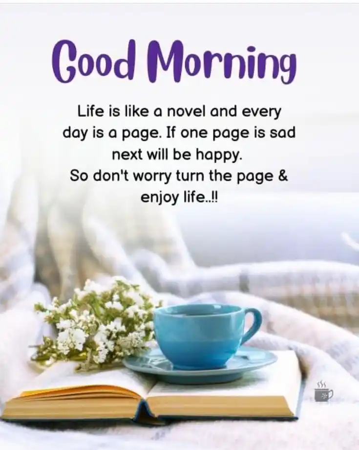 good morning all pic