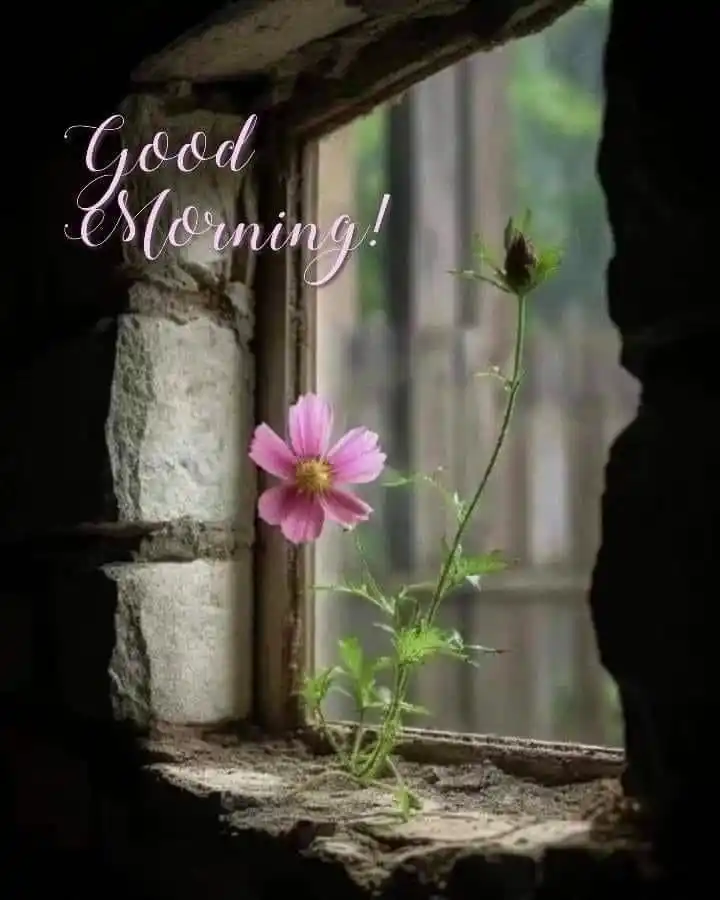 good morning images ai