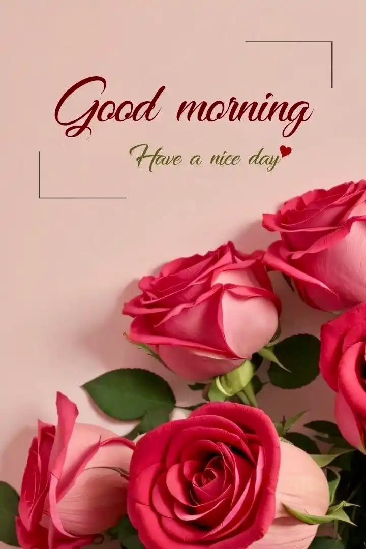 good morning photos buddhist