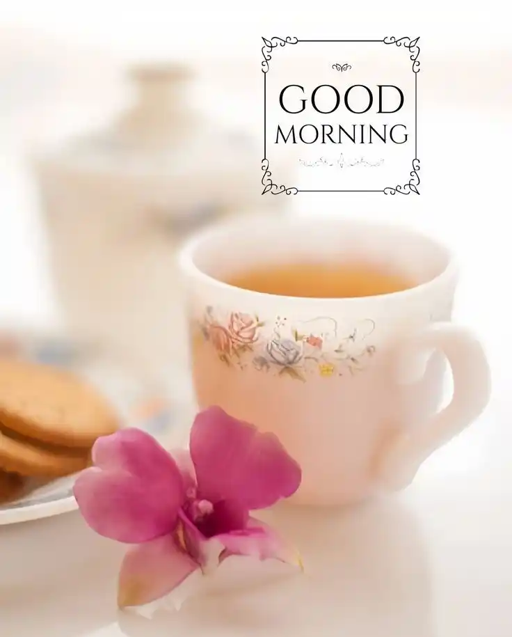 good morning pic devotional