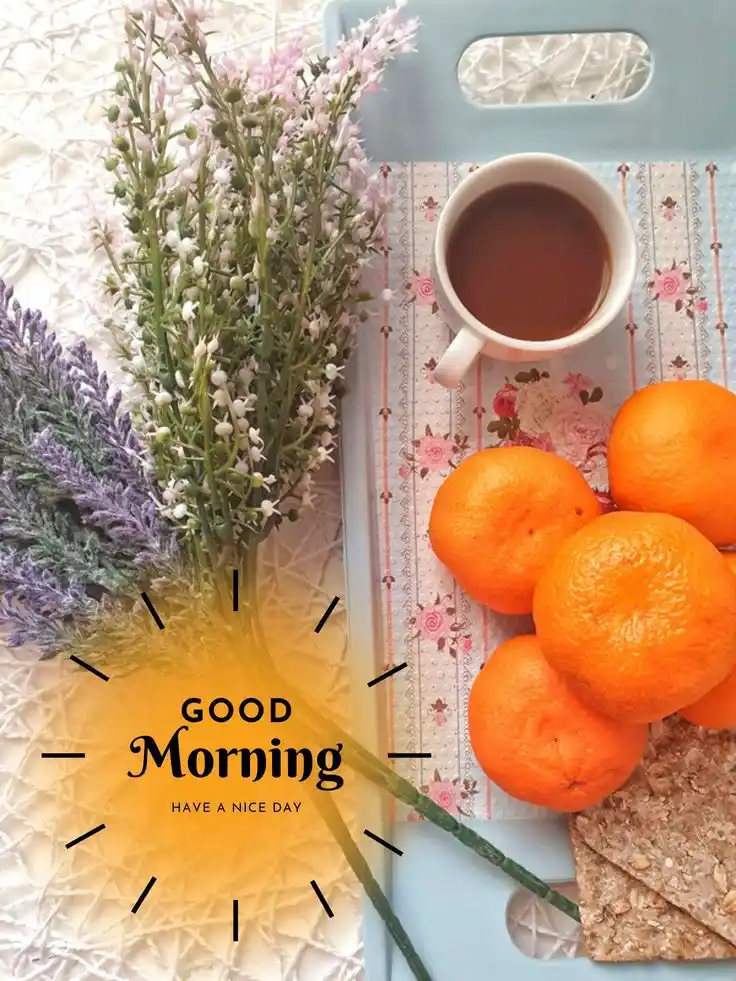 good morning picture funny