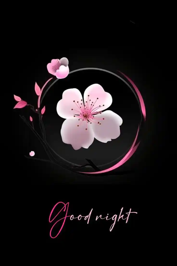 good night bedroom pic