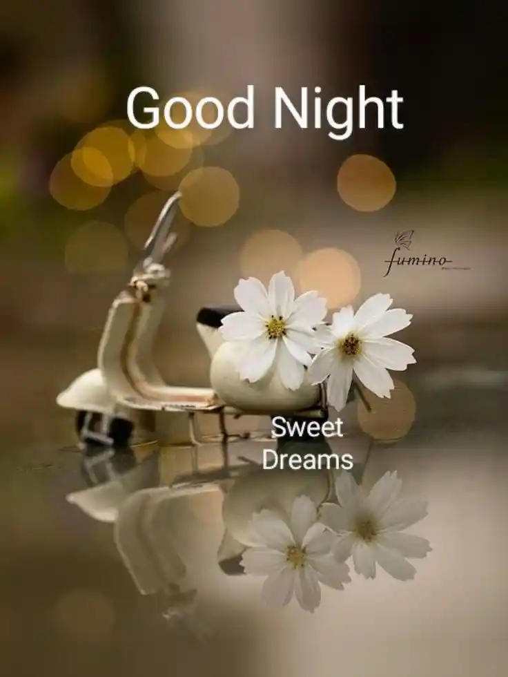good night images cartoon gif
