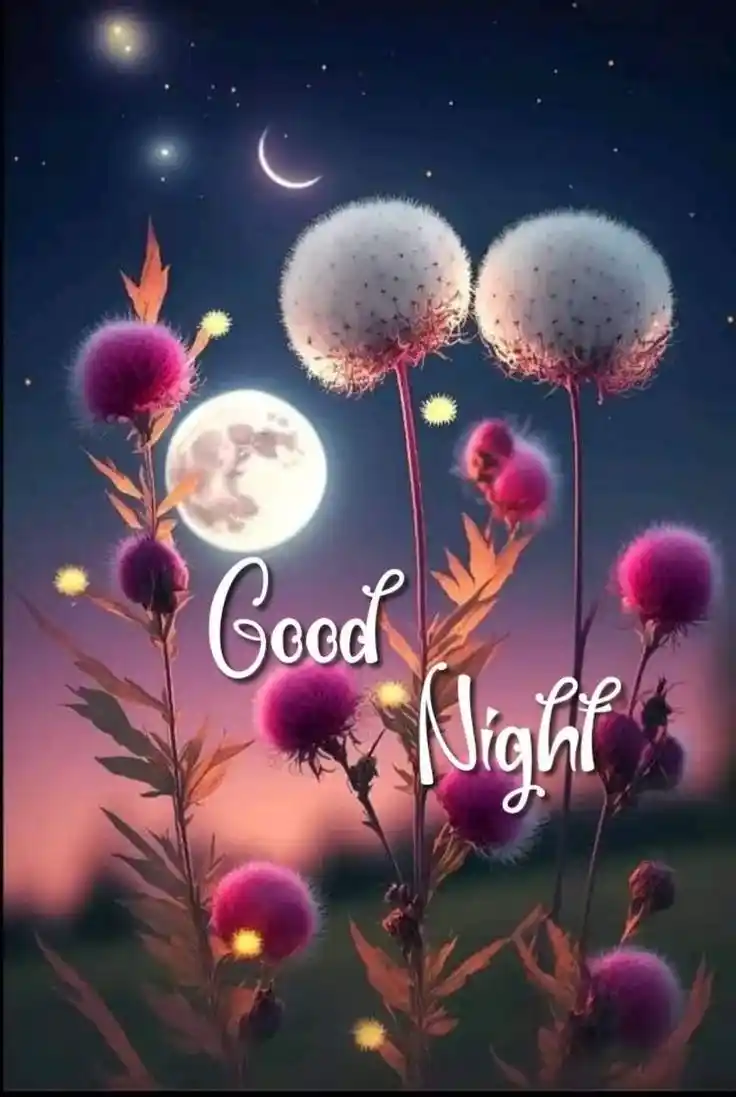 good night images cute girl