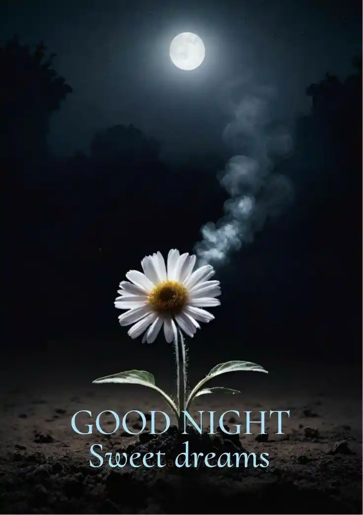 good night photo bhagwan