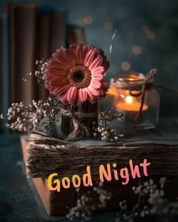 good night photo love