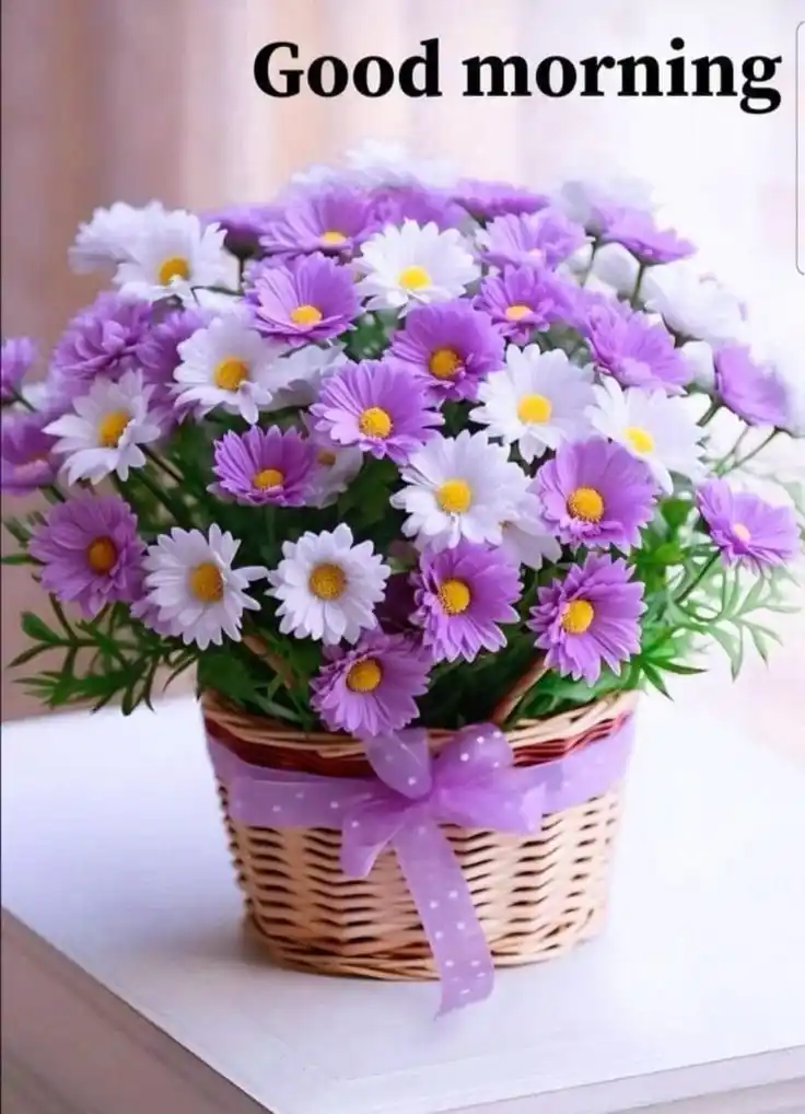 new style new latest new good morning images