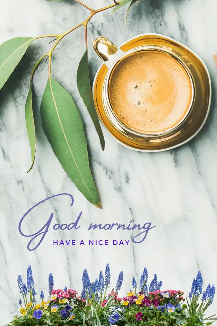 wednesday new good morning images